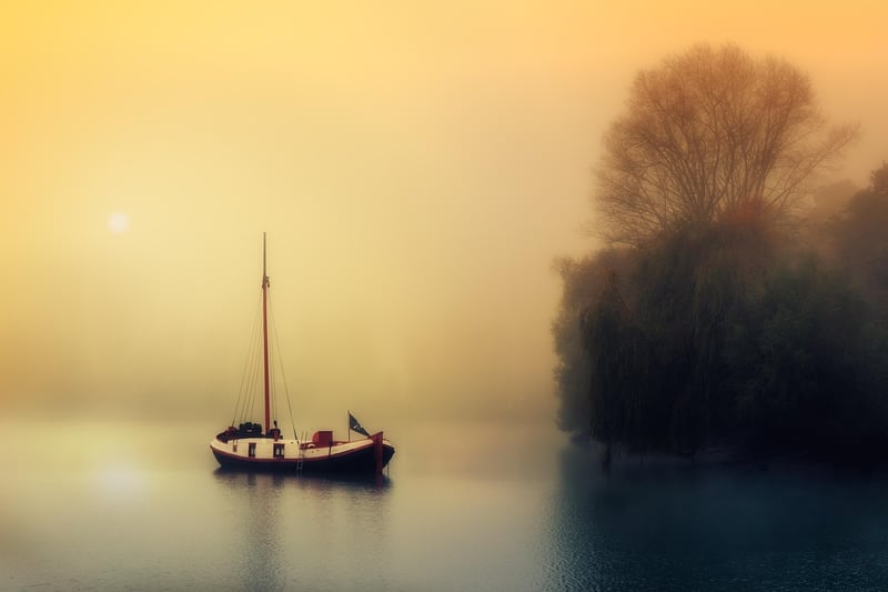Balance and Harmony